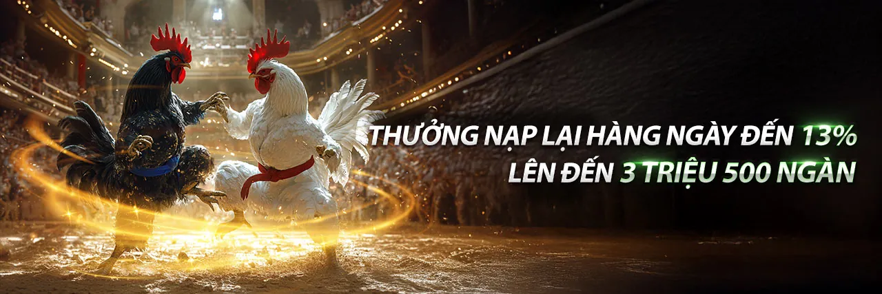Sân bóng rổ với người hâm mộ và các biểu tượng cá cược