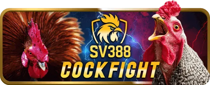 Biểu tượng hiệu suất