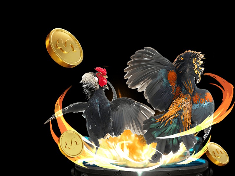 Hoàn Trả Cược Thua